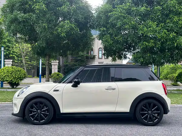 MINI 2019