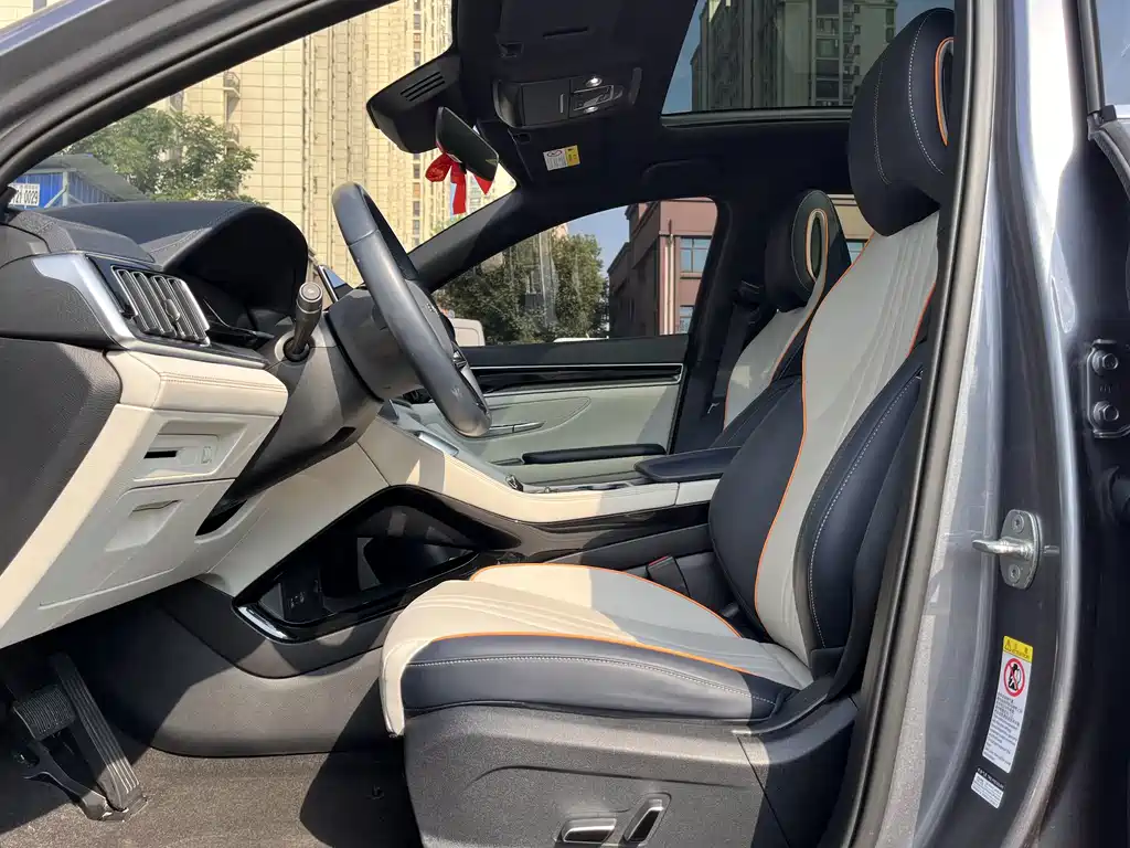 BYD Song PLUS New Energy 2023 — фото 7