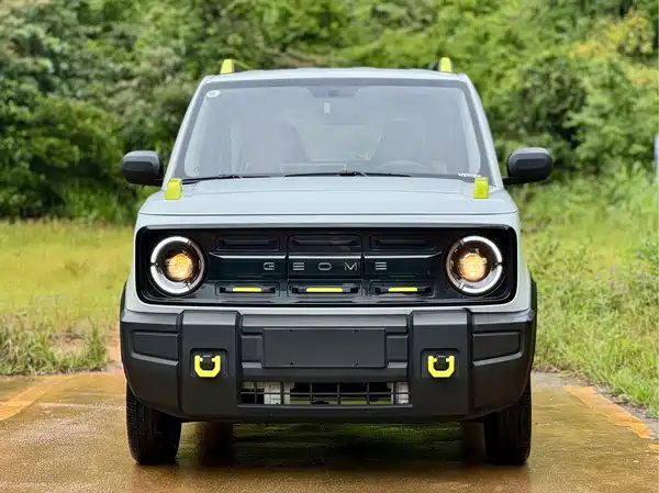 Geely Galaxy Panda 2024