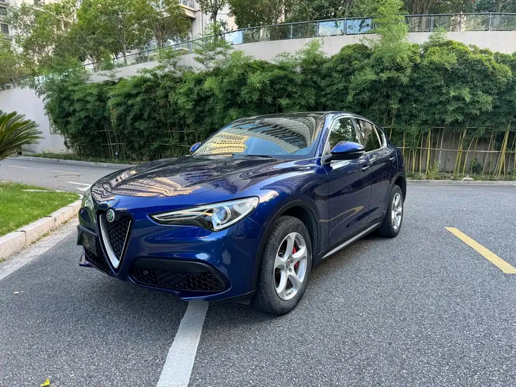 Alfa Romeo Stelvio 2019 — фото 2