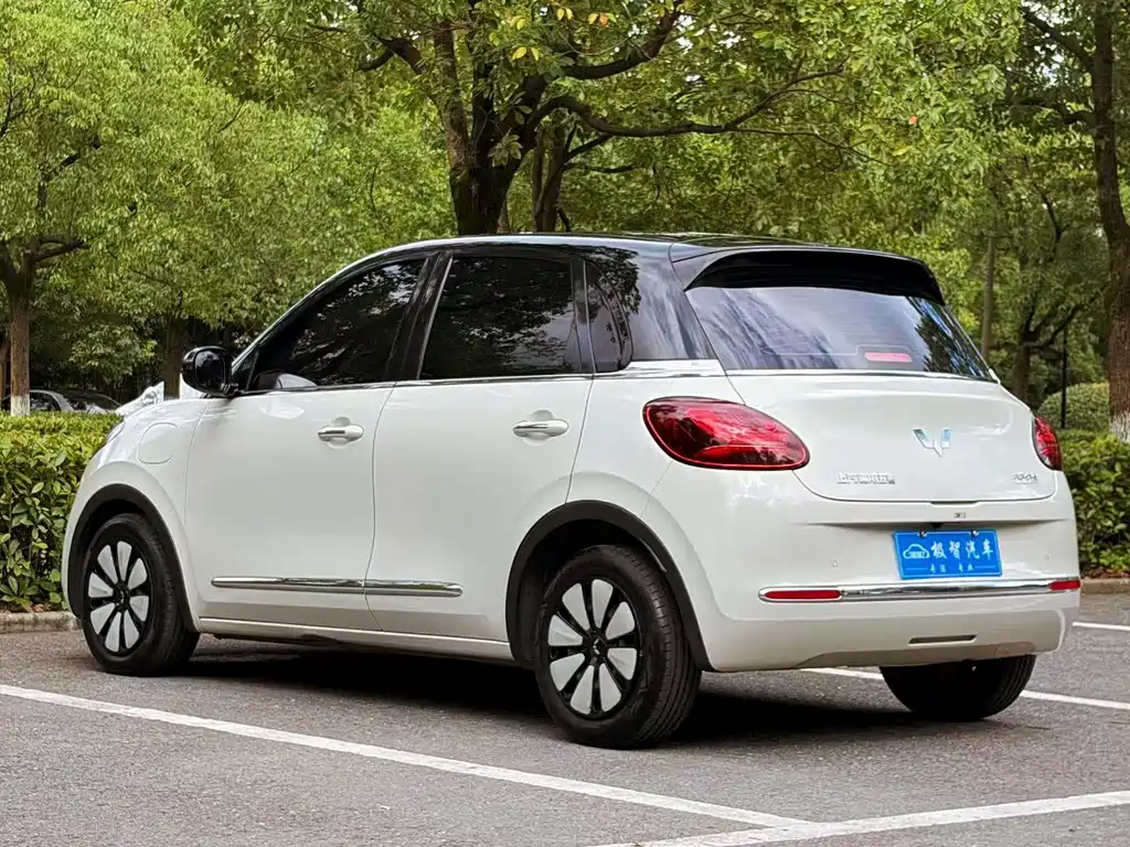 Wuling Bingo 2024