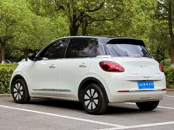 Wuling Bingo 2024