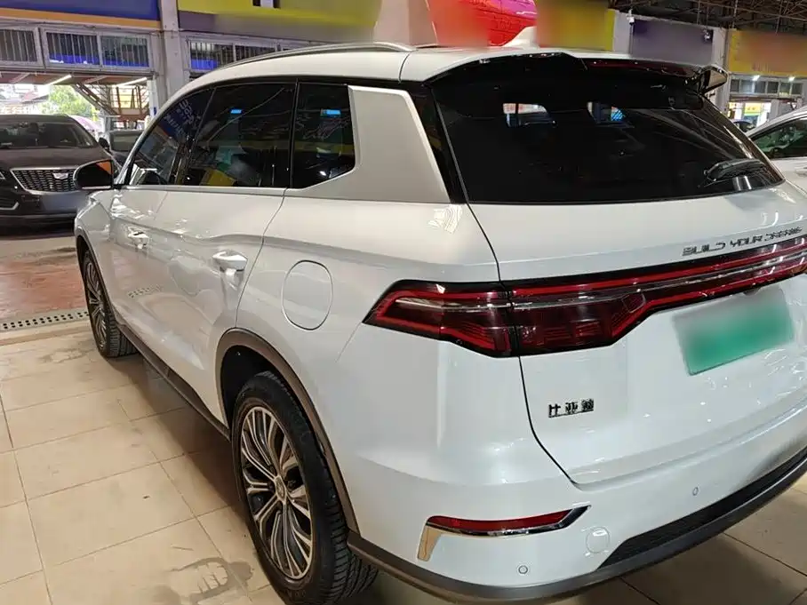 BYD Pro New Energy 2020 — фото 6