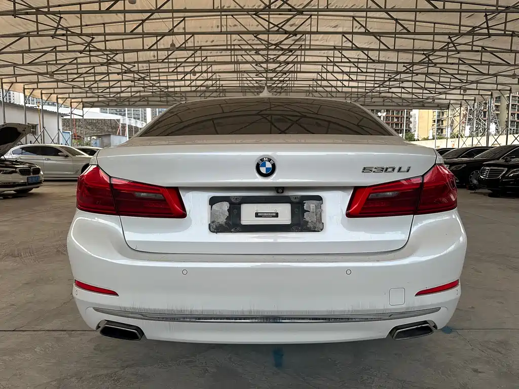 BMW 5 Series 2018 — фото 6