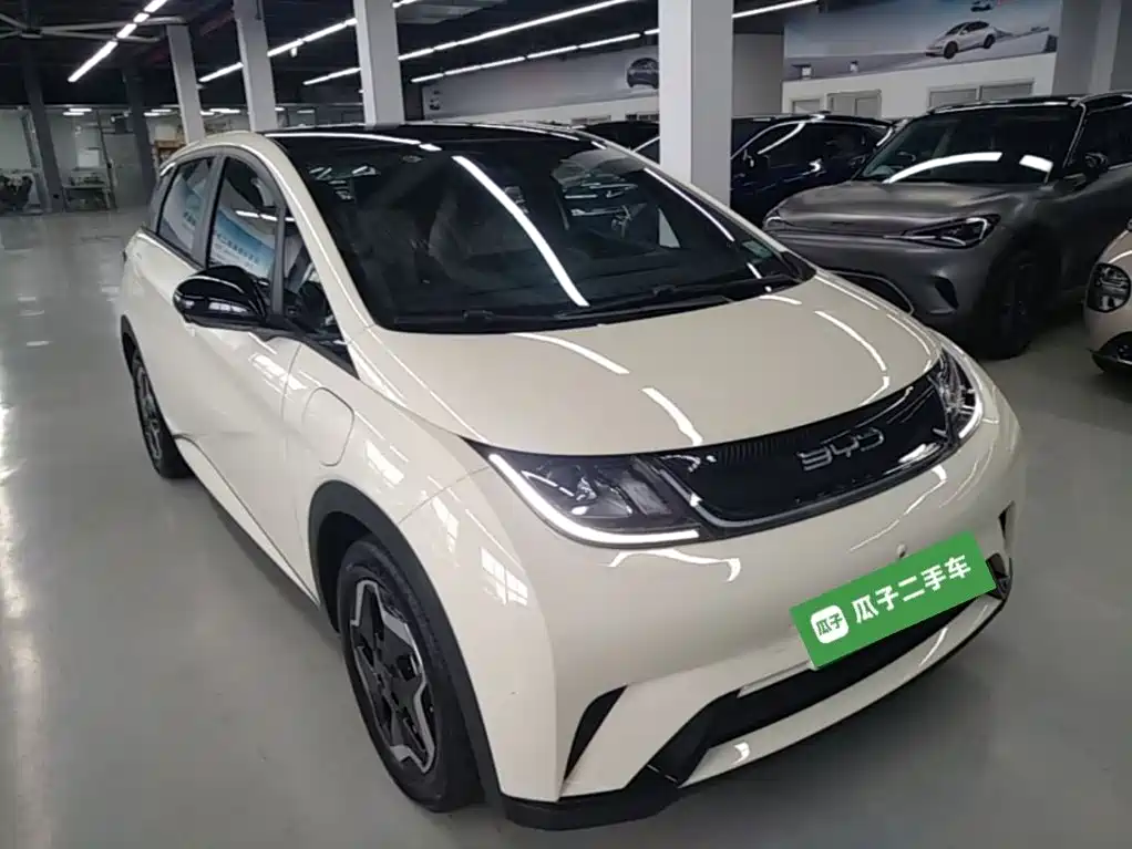 BYD Dolphin 2022