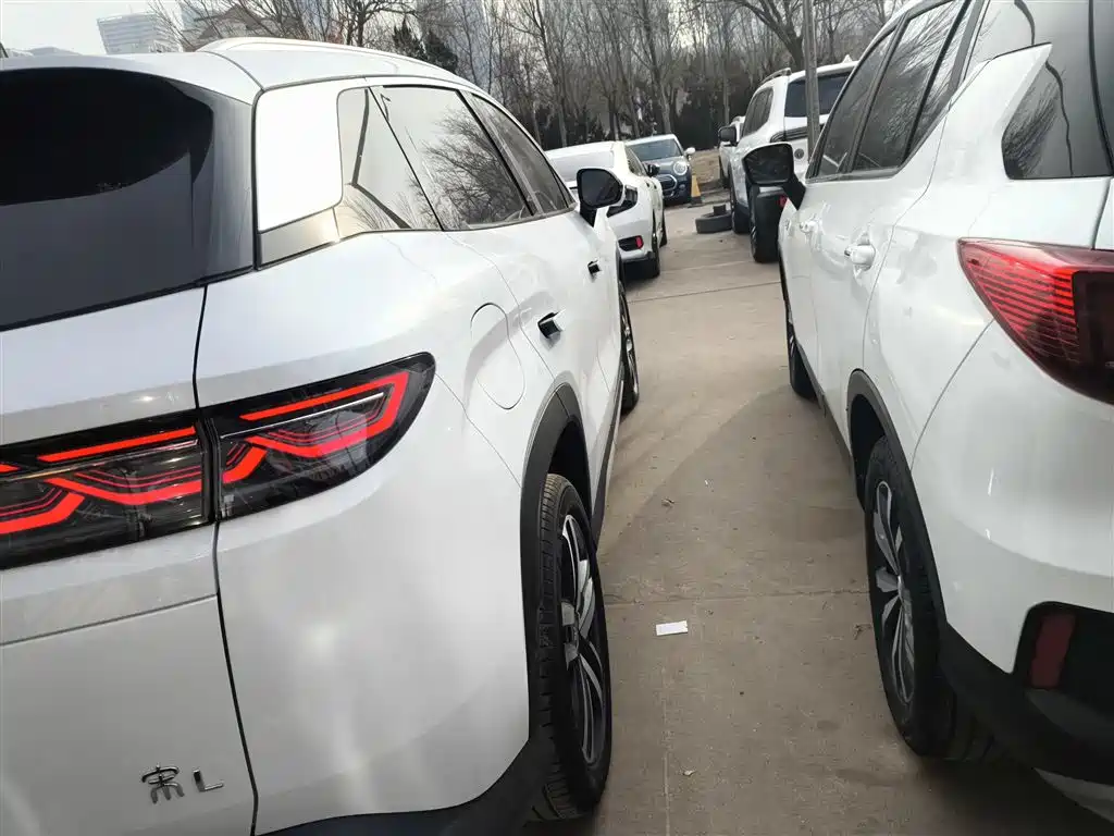 BYD L DM-i 2025 — фото 8