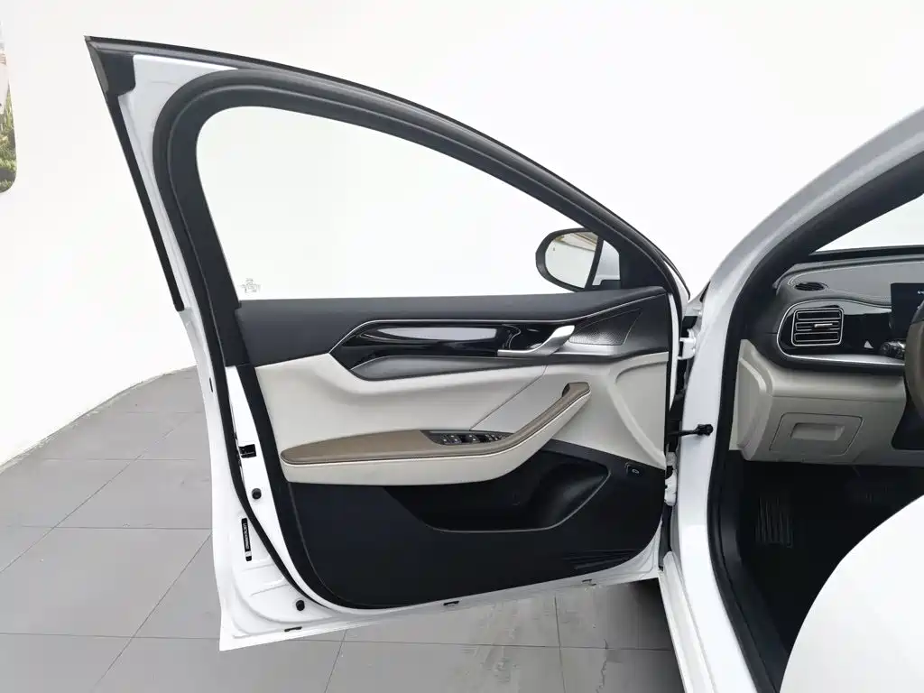 BYD Qin PLUS 2023 — фото 8