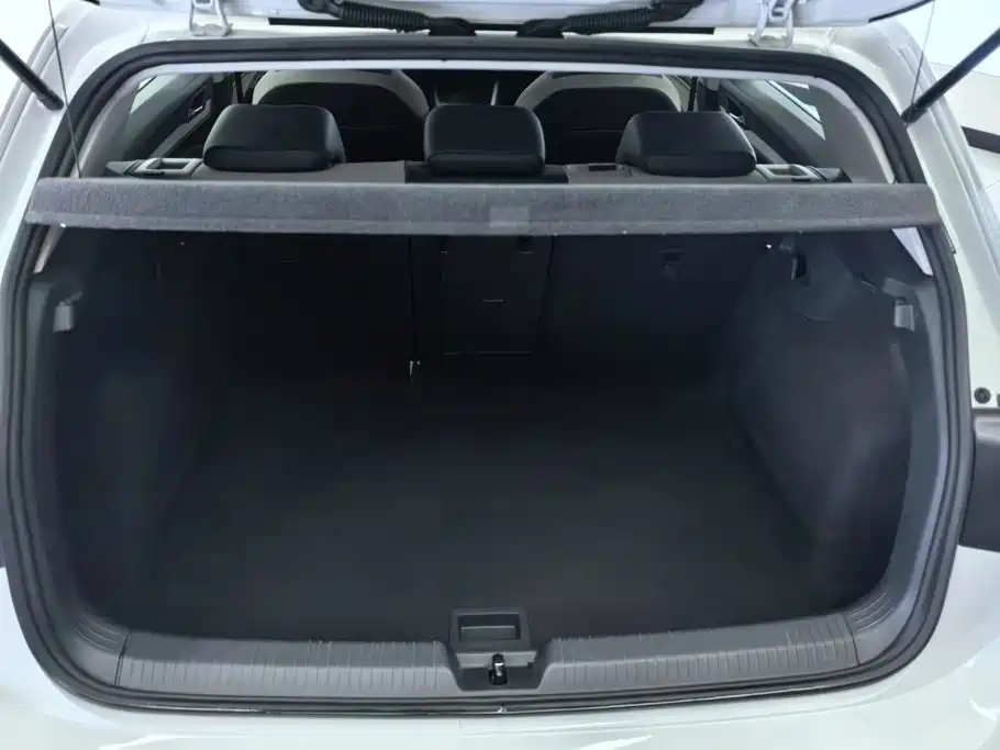 Volkswagen Golf 2021