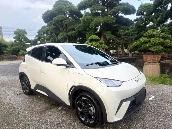 BYD Seagull 2024