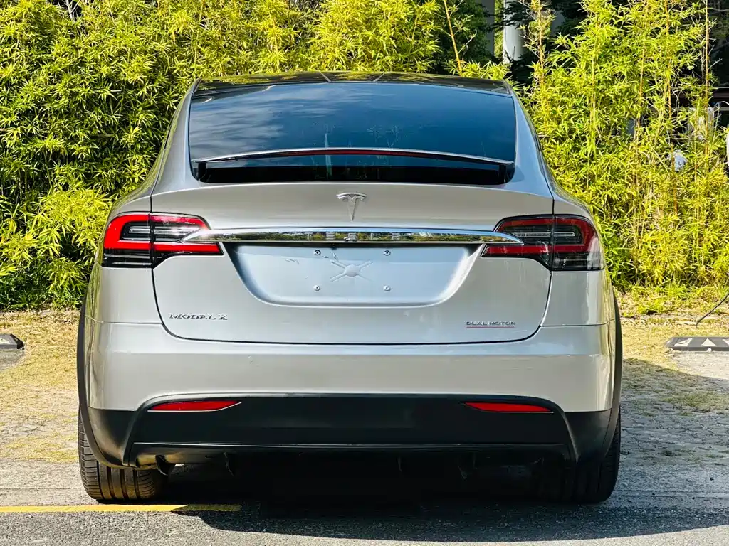 Tesla Model X 2019 — фото 13