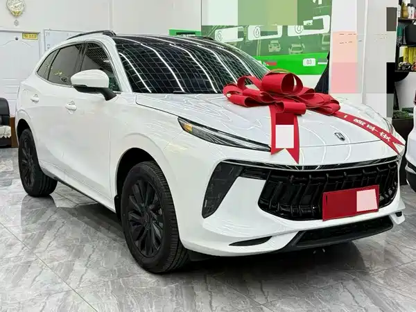 Dongfeng Fengxing T5 2023