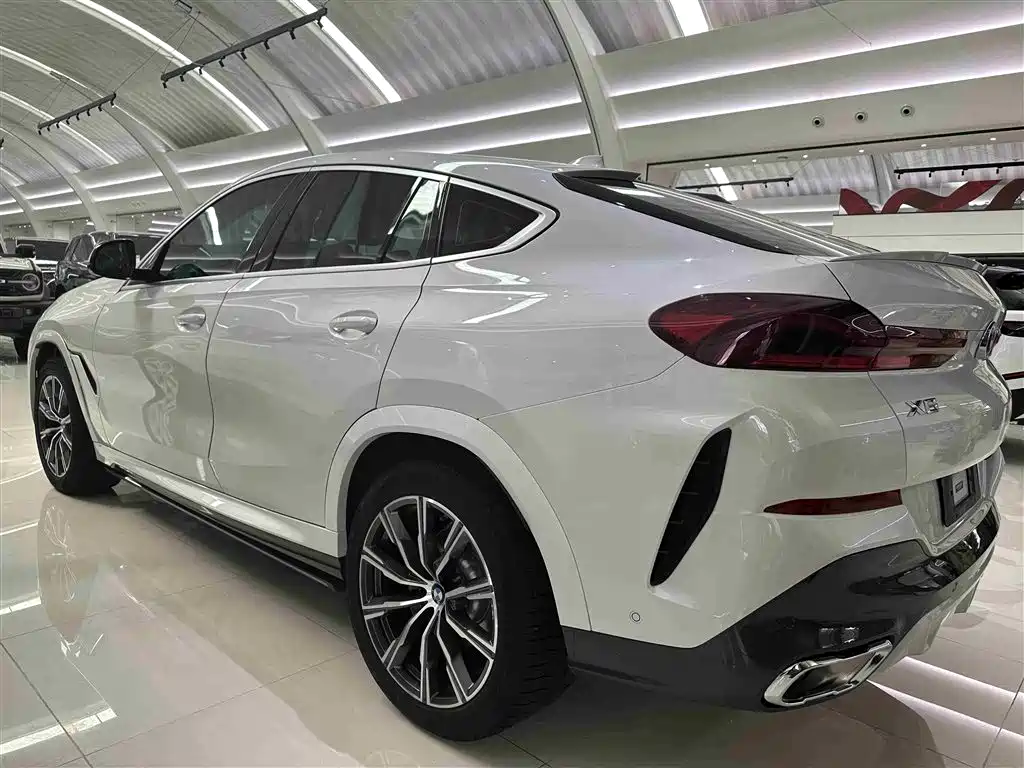 BMW X6 2021 — фото 20
