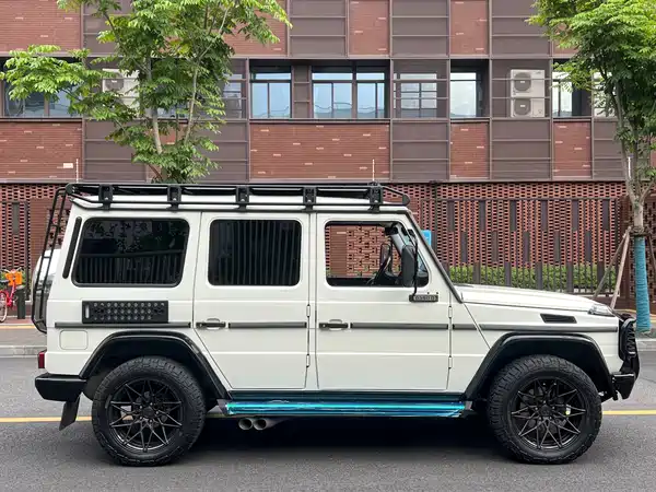 Mercedes-Benz G-Class 2010