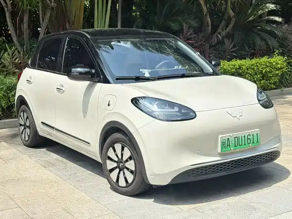 Wuling Bingo 2024