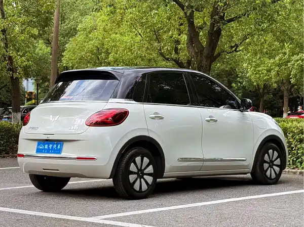 Wuling Bingo 2024