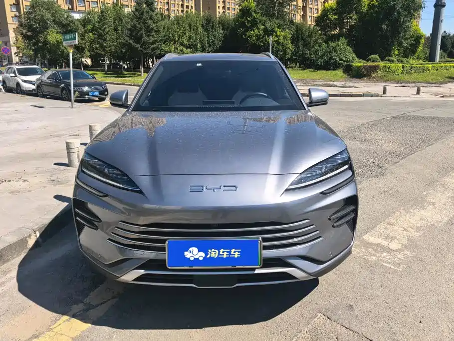 BYD Song PLUS New Energy 2024 — фото 2