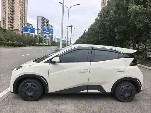 BYD Seagull 2024