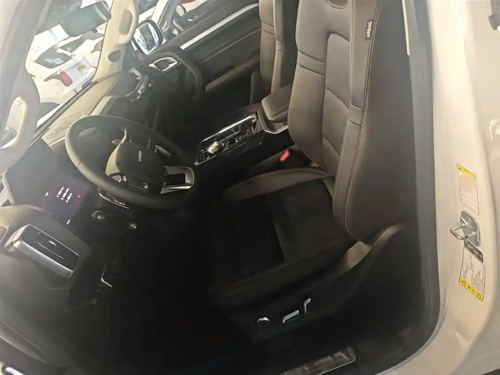 Haval Big Dog 2022 — фото 15