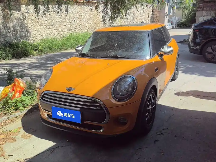 MINI MINI 2015