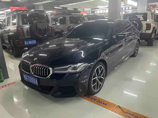 BMW 5 Series 2019
