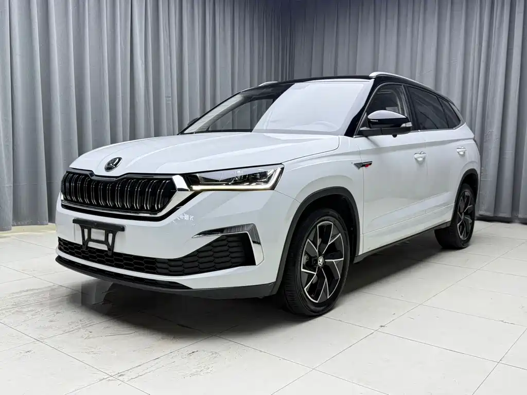 Skoda Kamiq 2023 — фото 1
