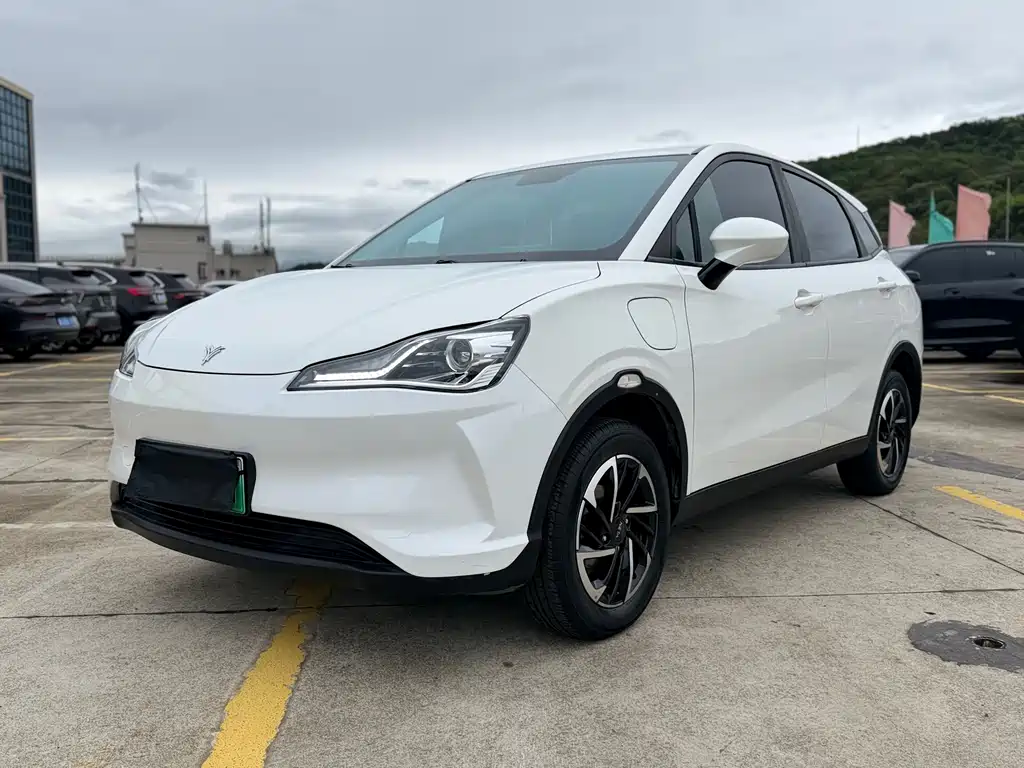 Neta V 2021