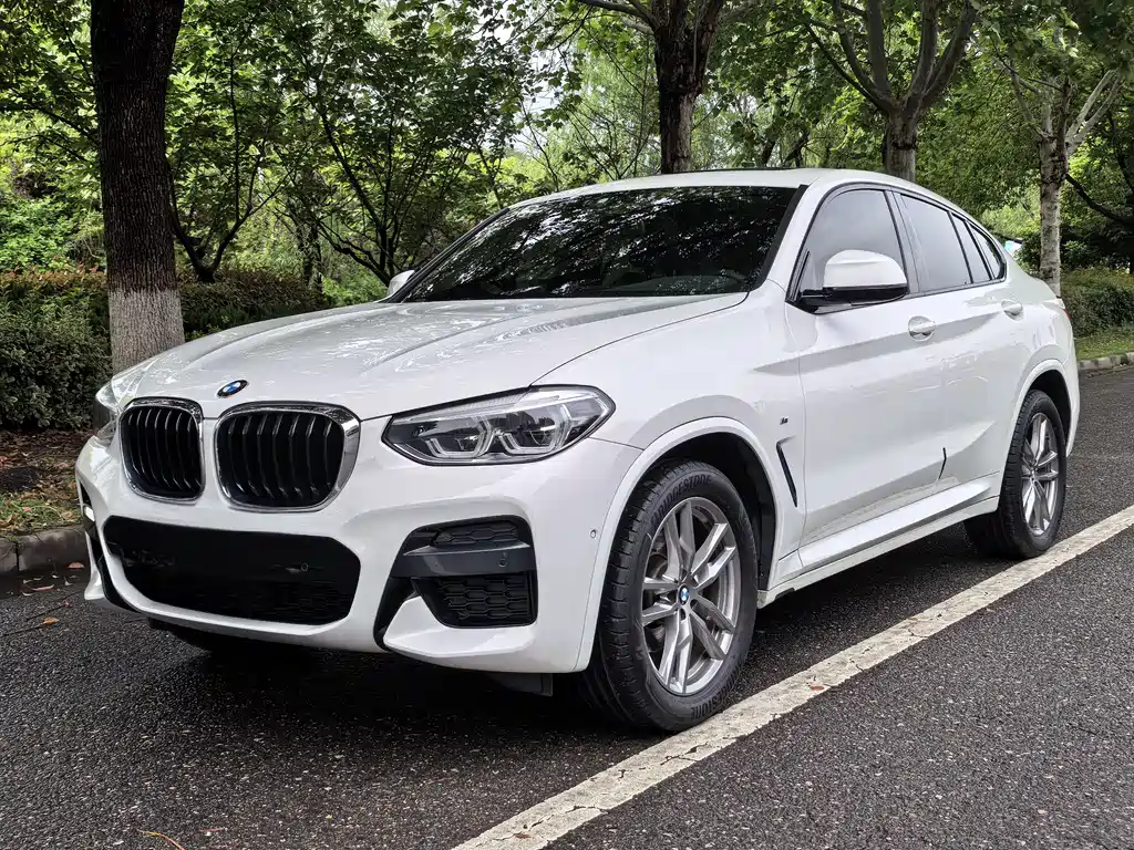 BMW X4 2020 — фото 1