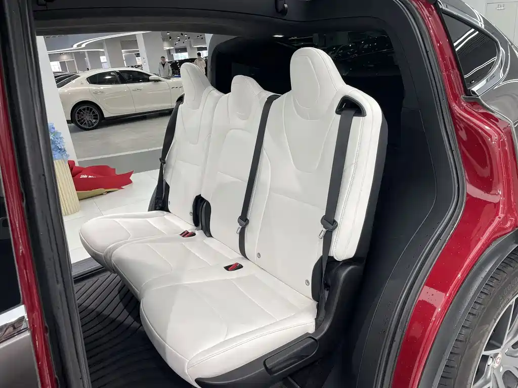 Tesla Model X 2019 — фото 6