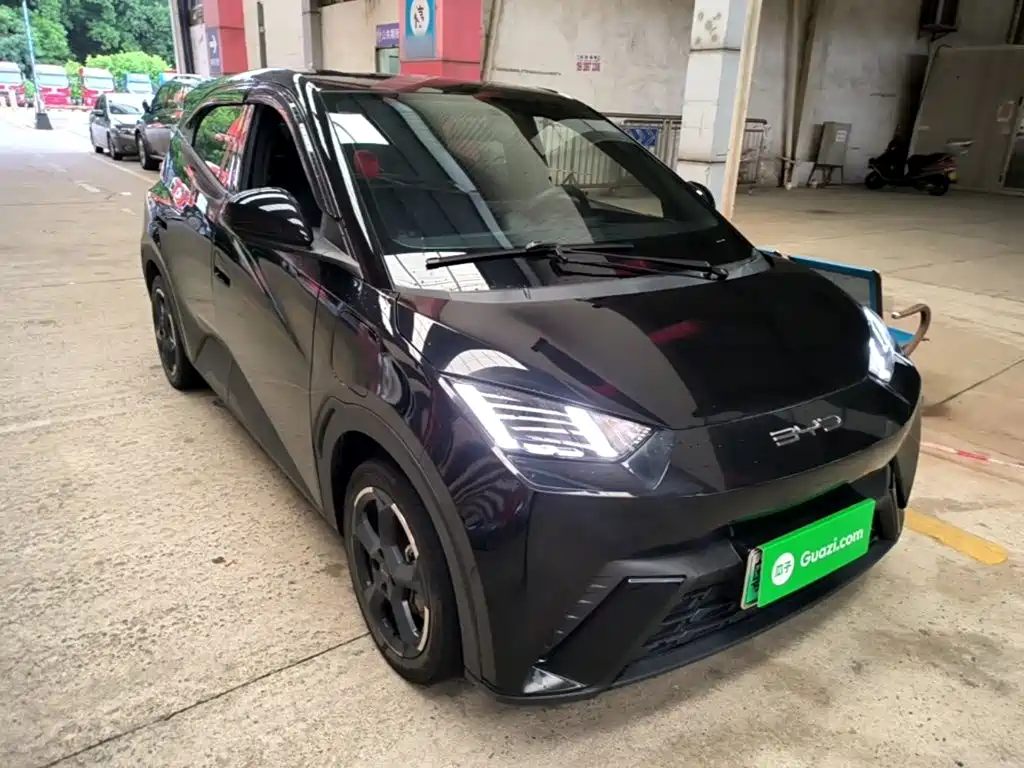 BYD Seagull 2024