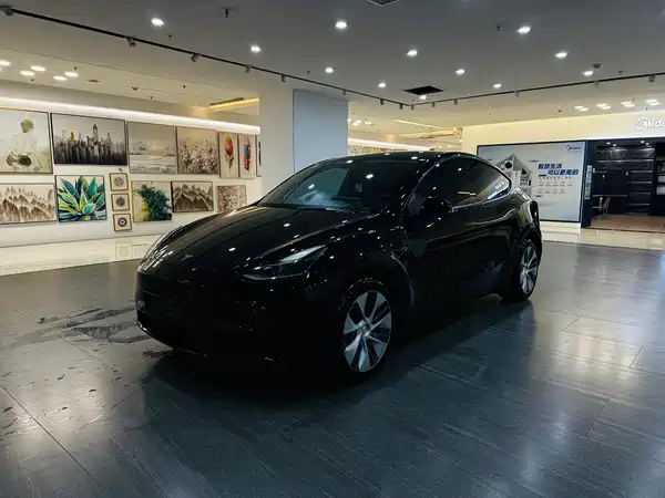 Tesla Model Y 2021