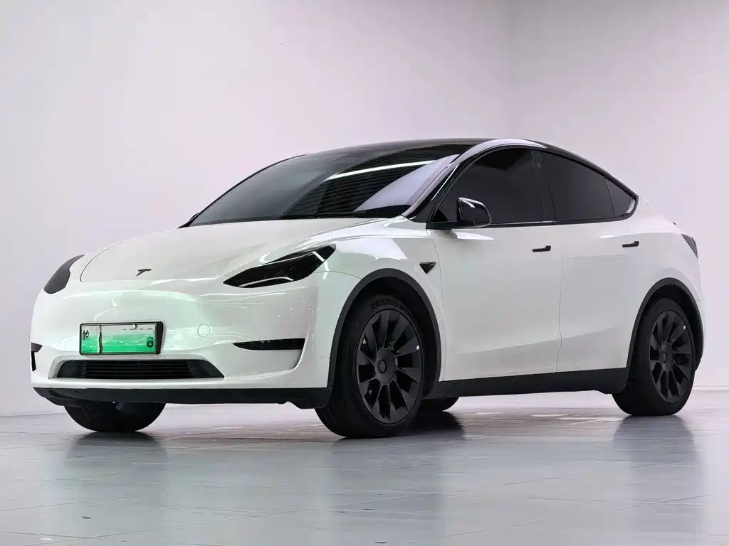 Tesla Model Y 2023 — фото 1
