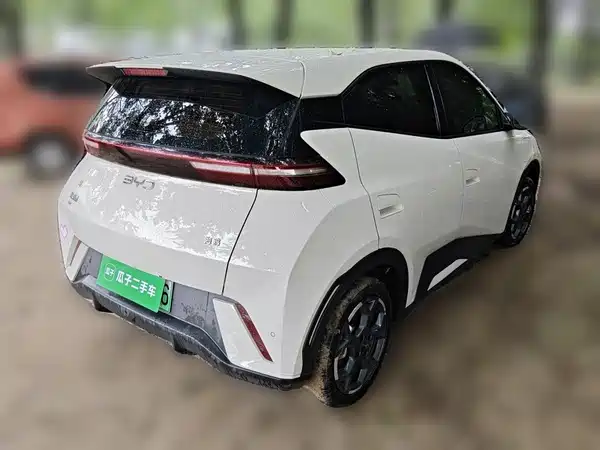 BYD Seagull 2024