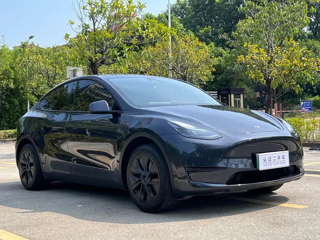 Tesla Model Y 2024 — фото 3