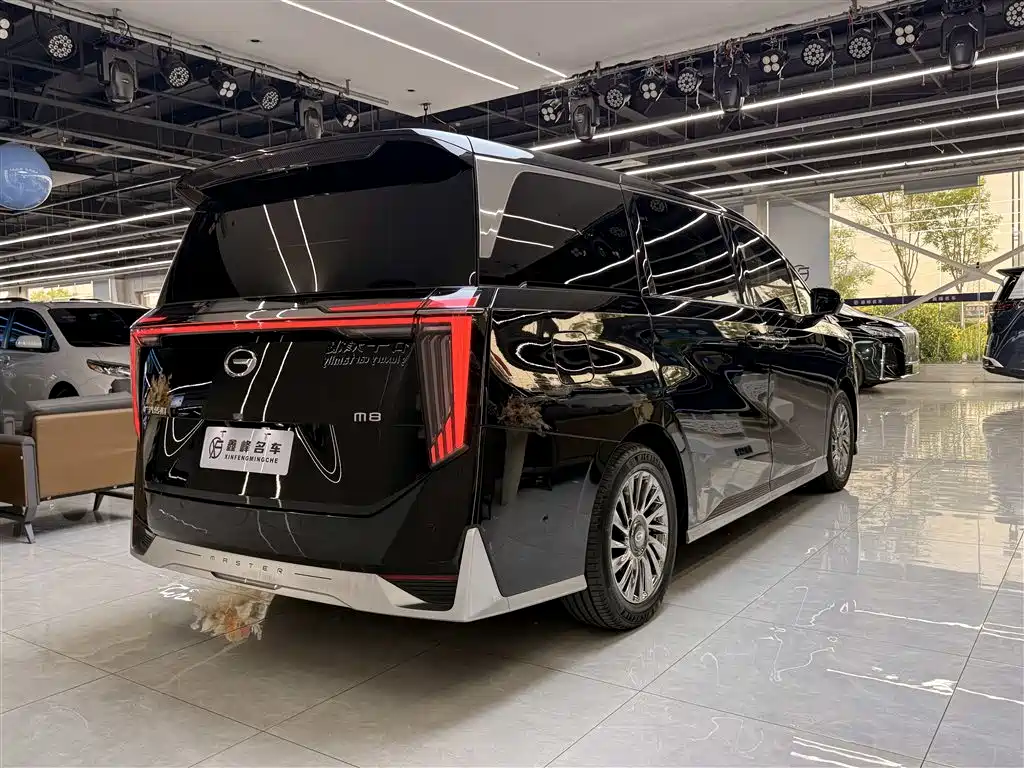 GAC Motor Trumpchi M8 2024 — фото 27