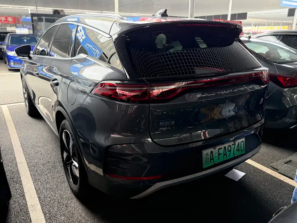 BYD Tang New Energy 2024 — фото 10