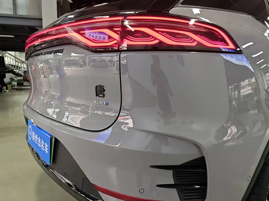 BYD Tang New Energy 2025 — фото 12