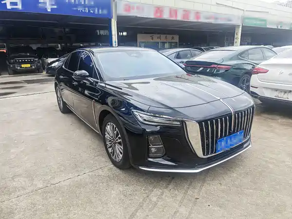 Hongqi H5 2024
