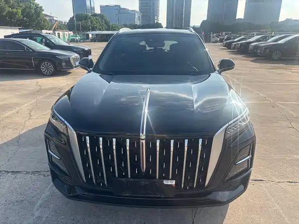 Hongqi HS5 2024