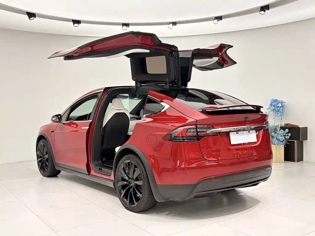 Tesla Model X 2019 — фото 10
