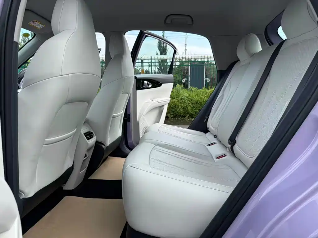 Geely Galaxy Starwish 2025 — фото 15