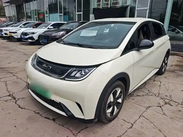 BYD Dolphin 2026