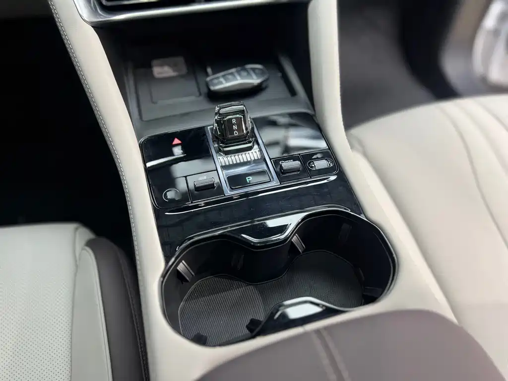 BYD Song PLUS New Energy 2024 — фото 14