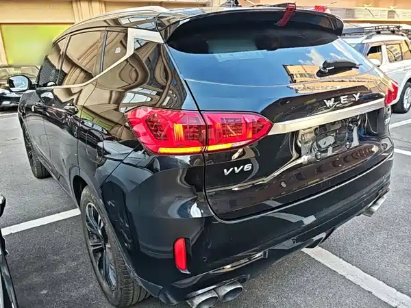 Wey VV6 2020