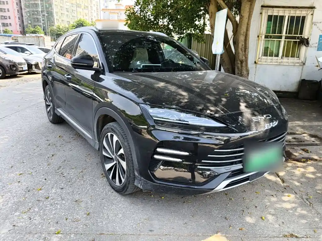 BYD Song PLUS New Energy 2024 — фото 4