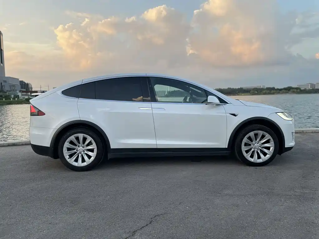 Tesla Model X 2020 — фото 3