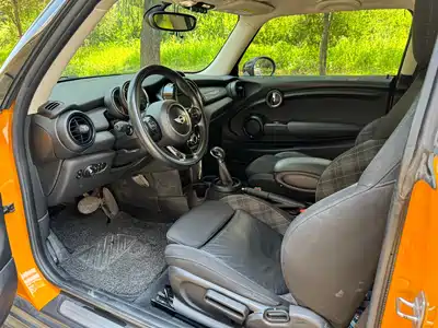 MINI MINI 2018