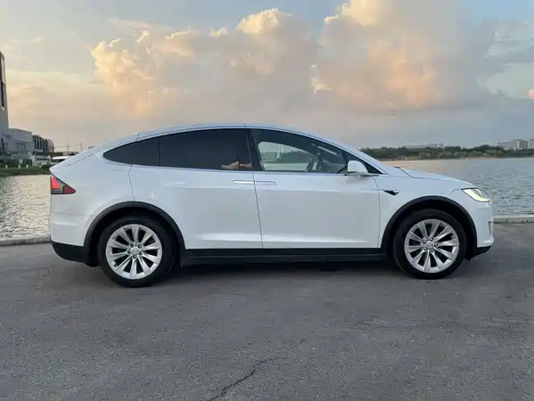 Tesla Model X 2020