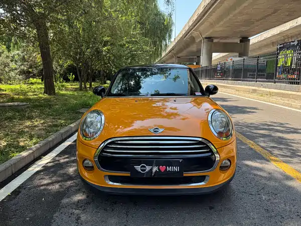 MINI 2018