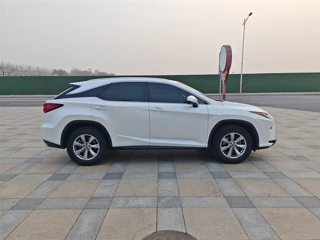 Lexus RX 2018 — фото 14