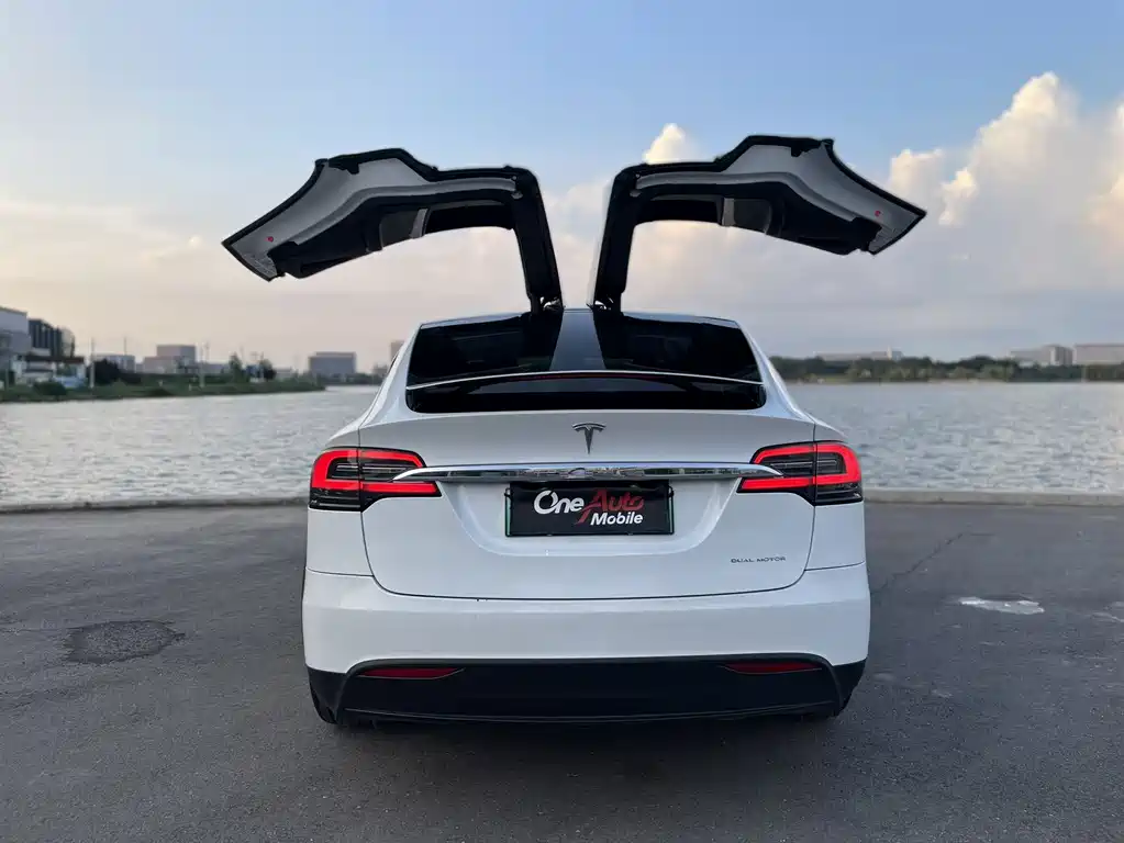 Tesla Model X 2020 — фото 2